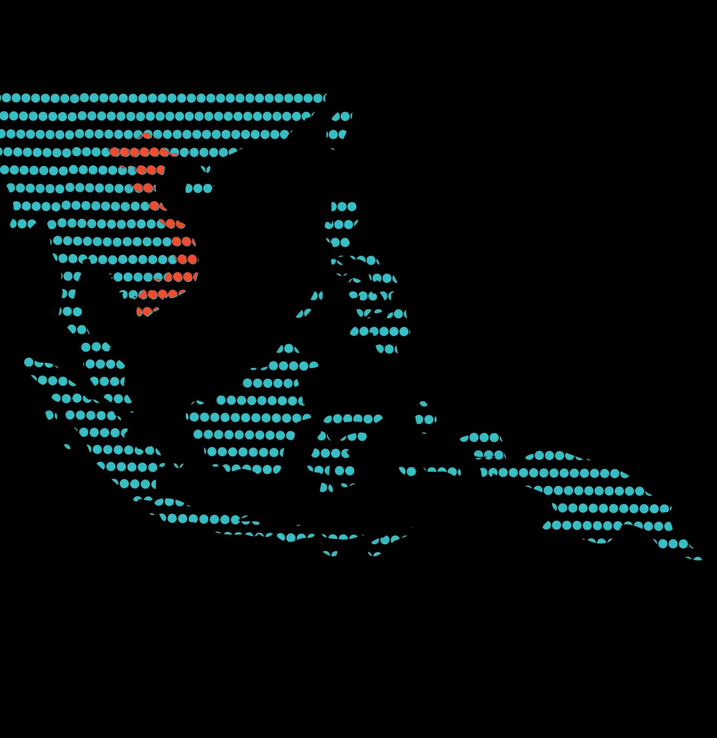 Vietnam map
